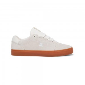 DC Shoes Hyde Skate Sko Herre Grå | NLFM-54810