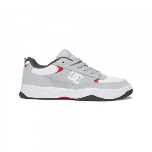 DC Shoes Penza Sportssko Herre Grå Hvide | ELDZ-46291