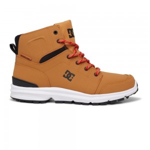 DC Shoes Torstein Støvler Herre Brune Sort | LDFT-34807