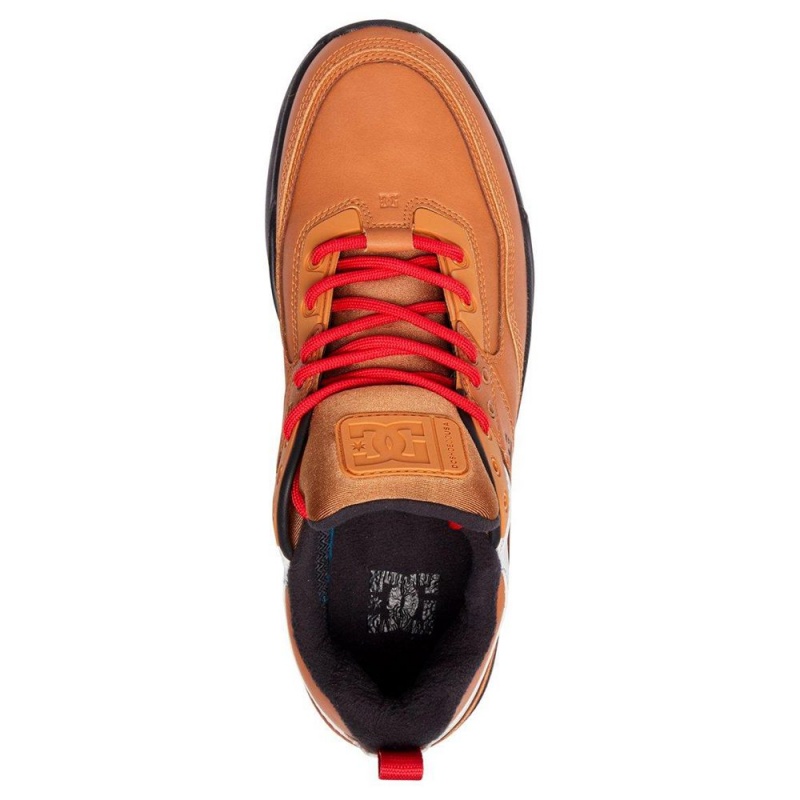 DC Shoes E.Tribeka Sportssko Herre Brune Grå | QMUJ-28496