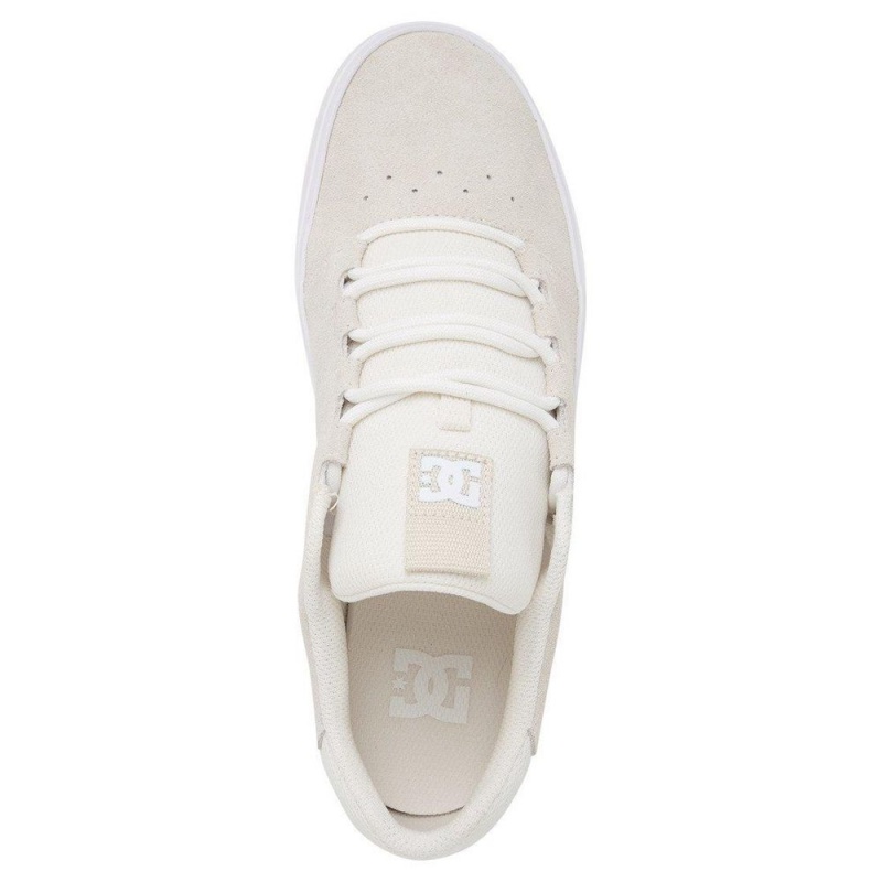 DC Shoes Hyde Skate Sko Herre Grå | KZFX-63124