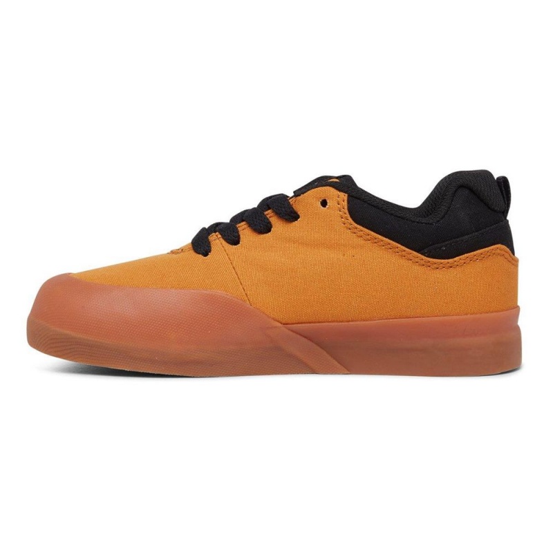 DC Shoes Infinite Skate Sko Børn Brune Sort | RACS-65398