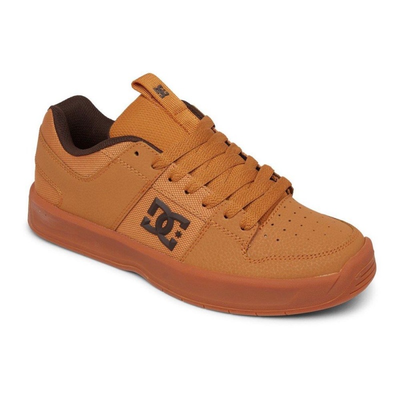 DC Shoes Lynx Skate Sko Herre Brune | DCXY-10867