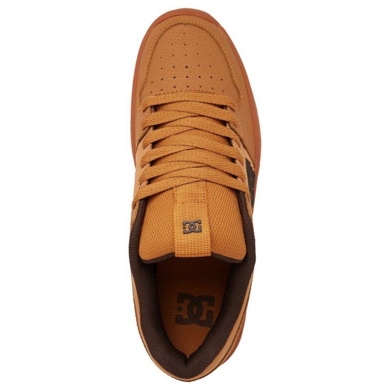 DC Shoes Lynx Skate Sko Herre Brune | DCXY-10867