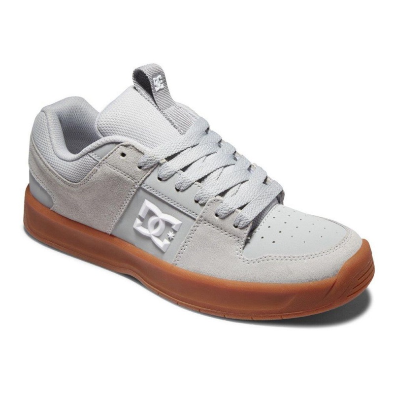 DC Shoes Lynx Skate Sko Herre Grå | XCZD-89124