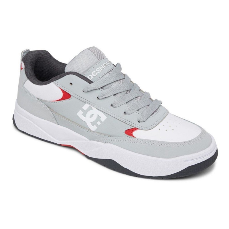 DC Shoes Penza Sportssko Herre Grå Hvide | ELDZ-46291