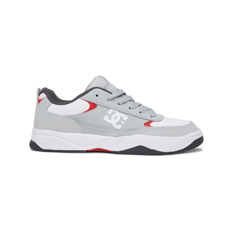 DC Shoes Penza Sportssko Herre Grå Hvide | ELDZ-46291