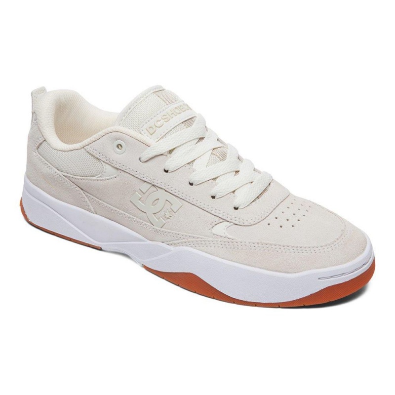 DC Shoes Penza Sportssko Herre Grå | EQHB-49682