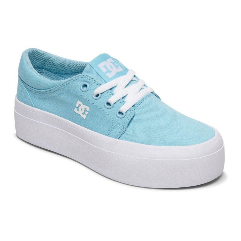 DC Shoes Trase Skate Sko Børn Blå | DJFC-10873